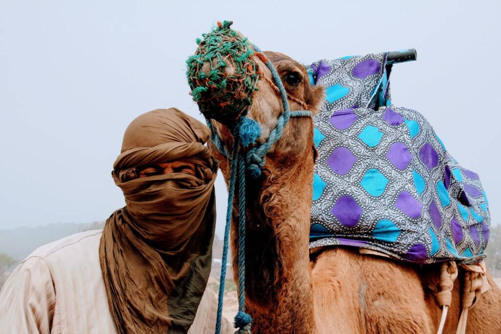 Tuareg man with a decorated camel in the Moroccan desert
